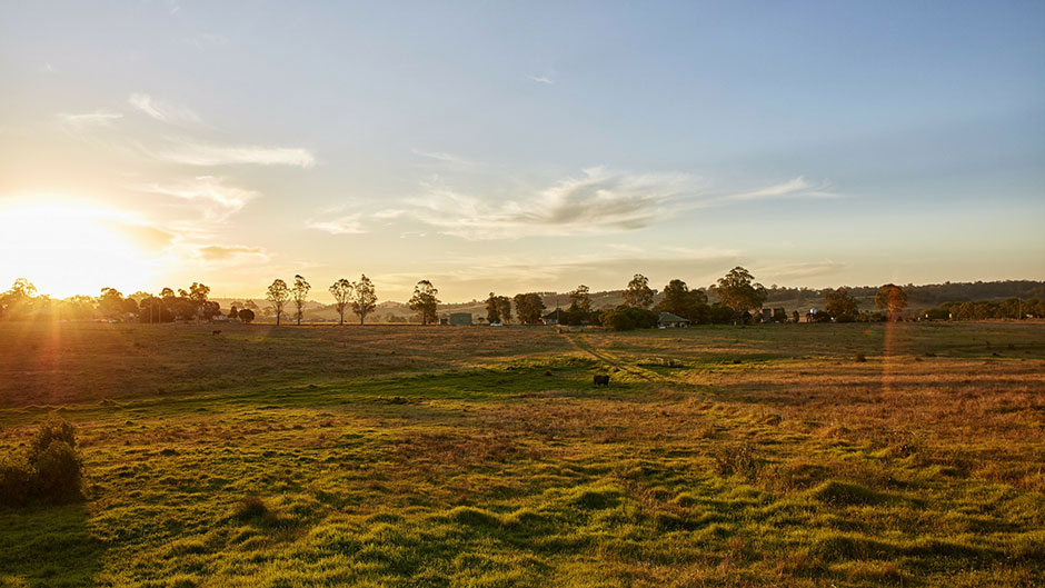 Menangle Rezoning Received Mirvac